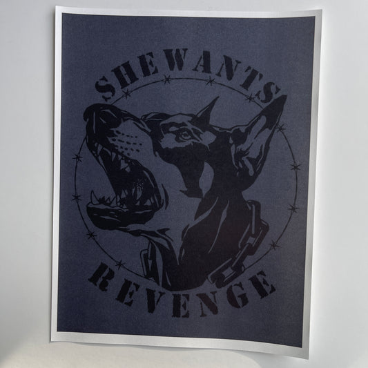 She wants revenge poster